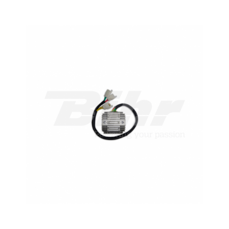 Regulador DZE 2477 VT1100C2