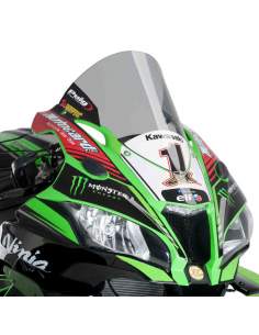 Cúpula R-Racer Kawasaki... 2