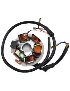 STATOR SGR 6 POLOS VESPA...