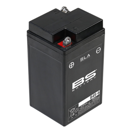 Batería BS BATTERY SLA sin...